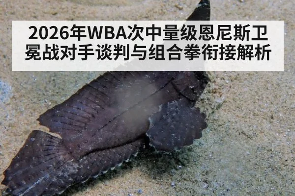 2026年WBA次中量级恩尼斯卫冕战对手谈判与组合拳衔接解析